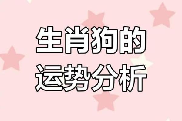 23岁属狗人的性格与命运解析：探寻人生的钥匙