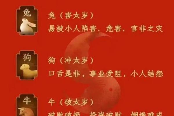 2020年鼠年宝宝的命运解析：命理与性格的完美结合