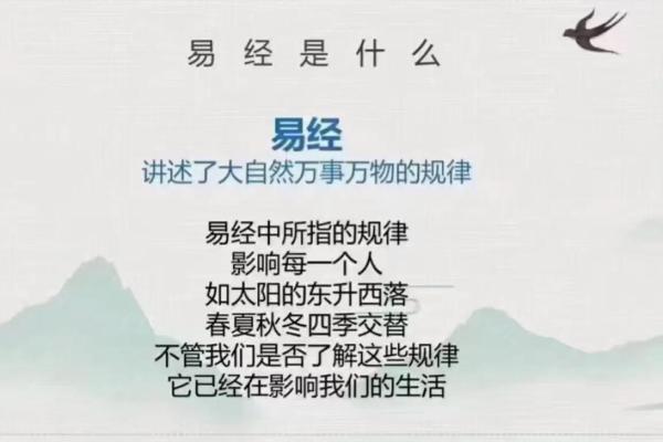 四两九命的深度解析：命运的秘密与人生的启示
