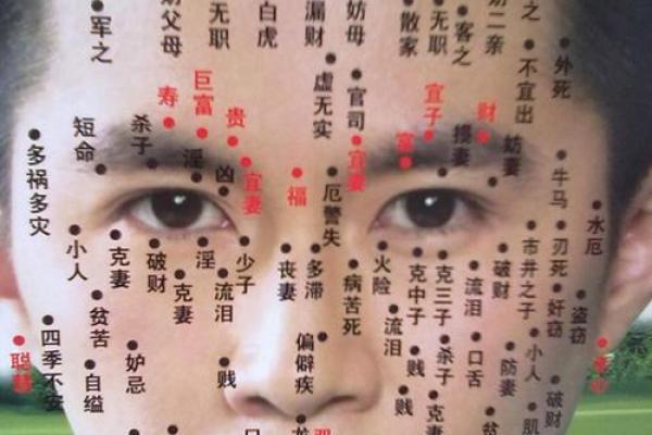 眉头短的男人暗示着什么命运？探秘其背后深意与影响！