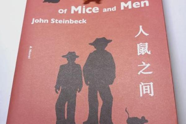 1972年老鼠年：细腻人生与命运交织的故事
