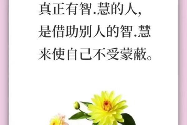 普通命格如何成就非凡人生的智慧与实践