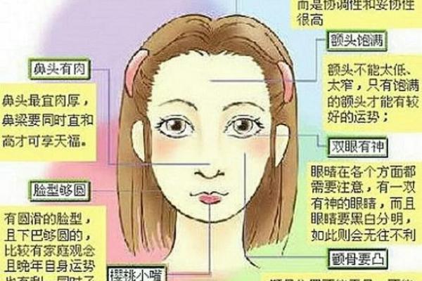 什么脸形什么命的成语大全：探寻面相与命运之间的奥秘