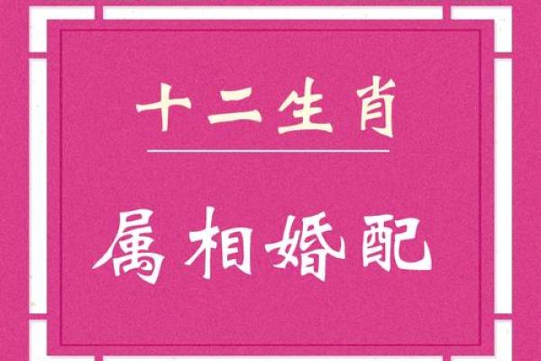 大林木命的婚配指南：找到最适合的伴侣之道