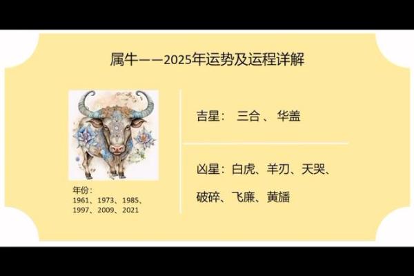 2022年金牛命缺什么？解读你的命理与运势!
