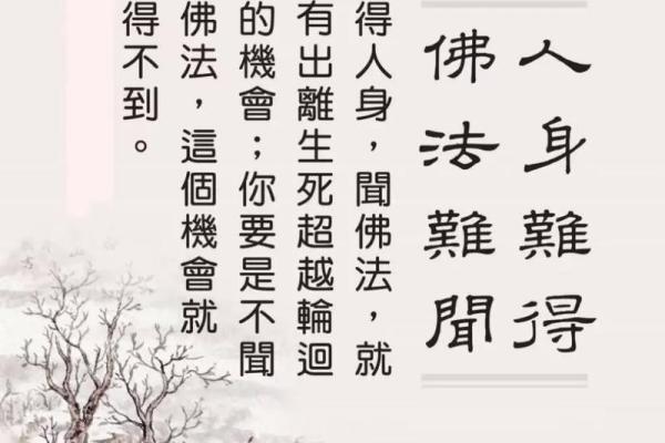 佛法视角下的伤人慧命：解读与反思
