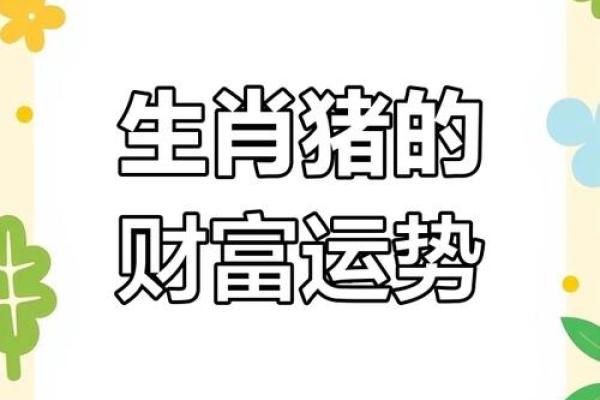 2019年属猪：猪年命运与性格解析，开启你的财富之路！