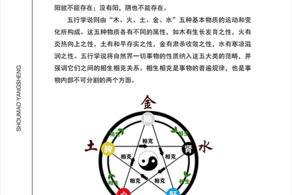 葵水命的流动之道：能量交汇与避开之物的深度解析