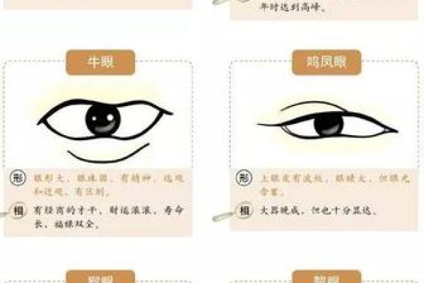 揭秘面相：如何识别富贵命的人