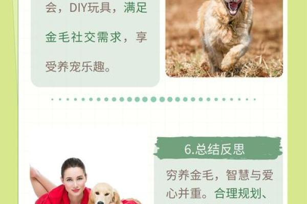 金命之人养哪些动物最合适？探寻与金之气息相得益彰的宠物选择