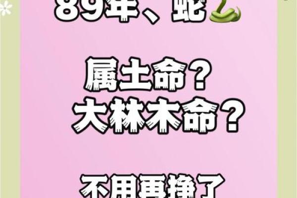 揭秘大林木命：适合的石头和佩戴指南