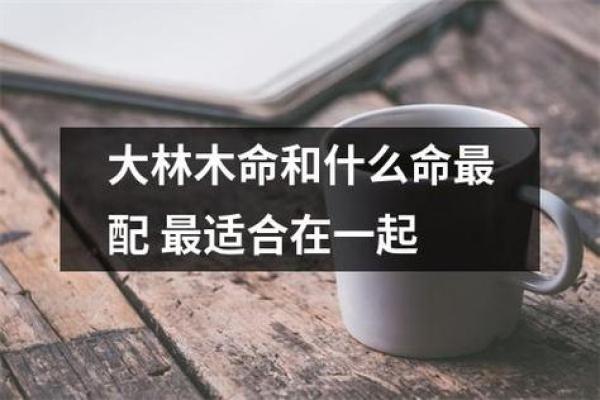 揭秘大林木命：适合的石头和佩戴指南