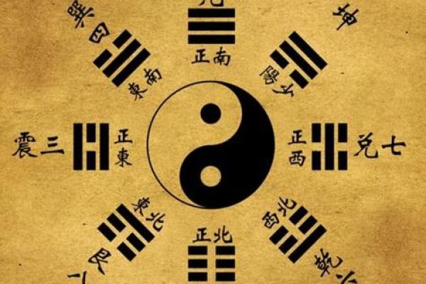 男人肚子上的毛发与命运的神秘联系解析