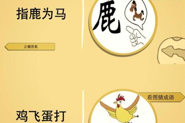 让成语游戏点亮你的生活！视字成语乐趣无穷