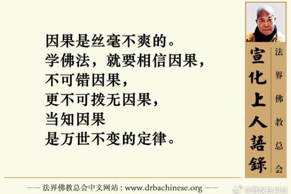 命里带佛骨的深意与启示：如何理解人生中的命运与精神追求