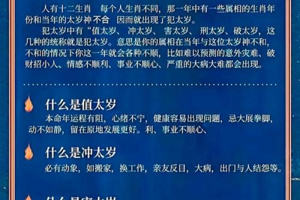 揭秘老板命的属相：如何影响职场运势与成长