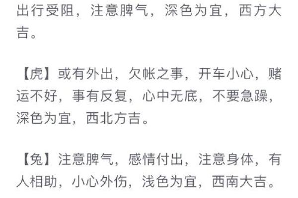 97年属什么命格，揭秘背后的性格与运势