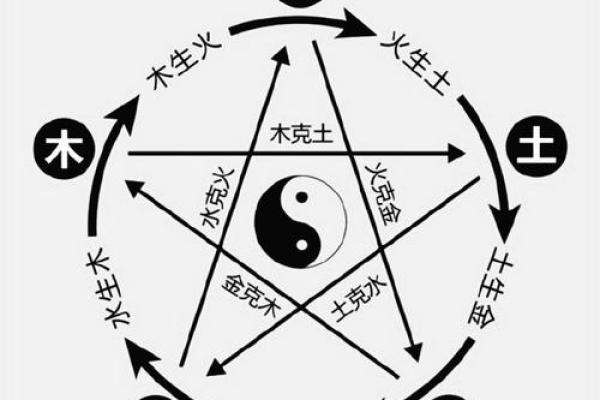 东四命震命五行属性解析：深入探索命理的神秘世界