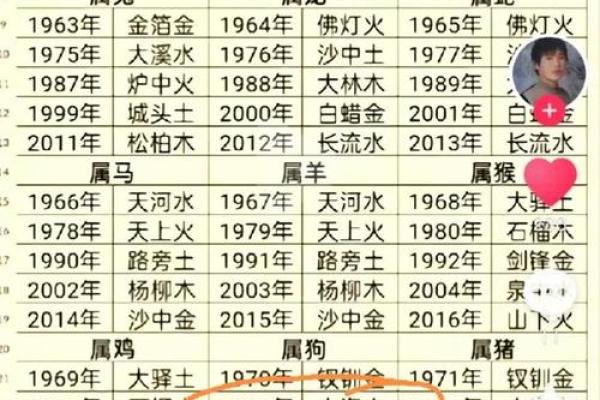 82年正月17日出生的你：命运与性格的奇妙联系