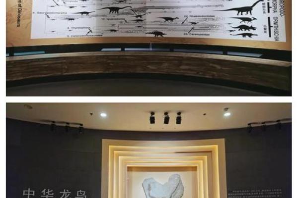 探秘“鸟散命”—命运与自由的交汇点