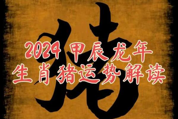 2019年出生属猪宝宝的命运与运势详解