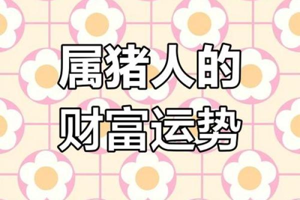 探索71年属猪的命运与性格特征：解锁你的命理之旅