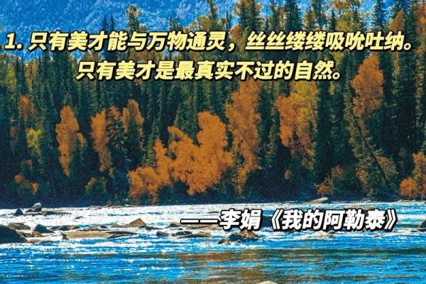 解密宁静：她的命格与内在的宁和之美