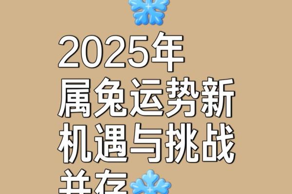 2022年正月十九：属于兔年的奇妙命运分析与运势解读