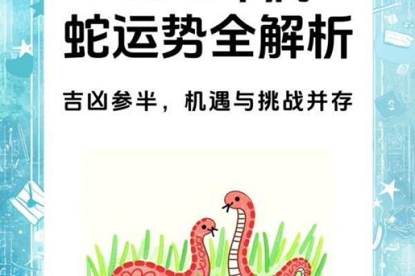 2013年属蛇人的命格缺陷与弥补方法探讨