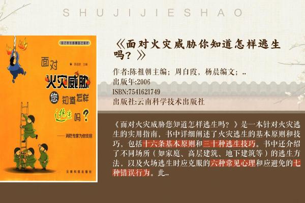 2019年火命的奥秘：探索火命特质与生活中的应用