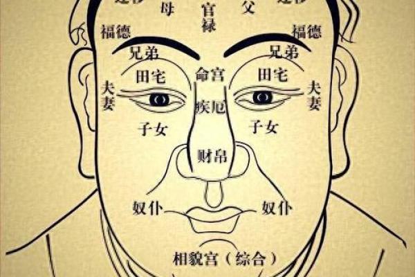 了解罗汉脸型的命理特征，助你找到人生的成功之路！