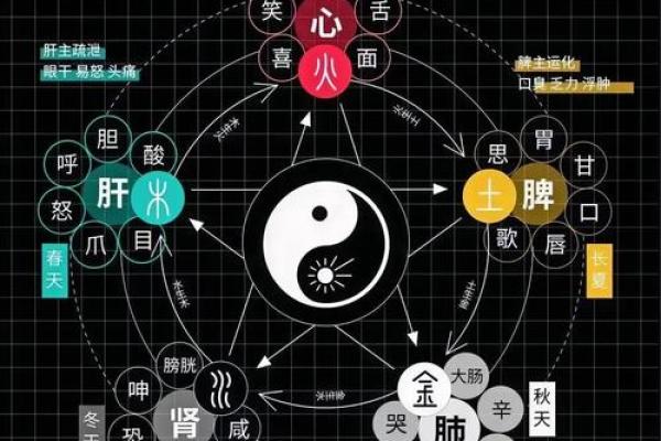 1965年出生者命里喜好：珍贵的五行元素与生活智慧