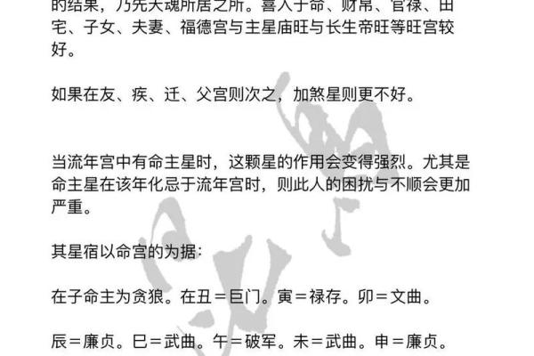 紫薇命主星的神秘解析与人生启示