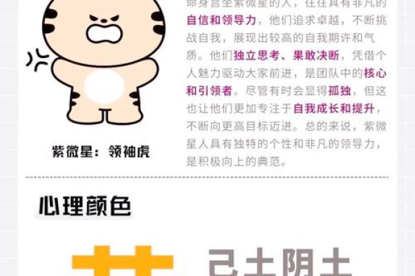 紫薇命主星的神秘解析与人生启示