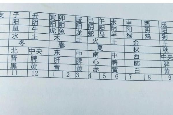 命卦冀东四命解析：揭示生肖背后的奥秘与智慧