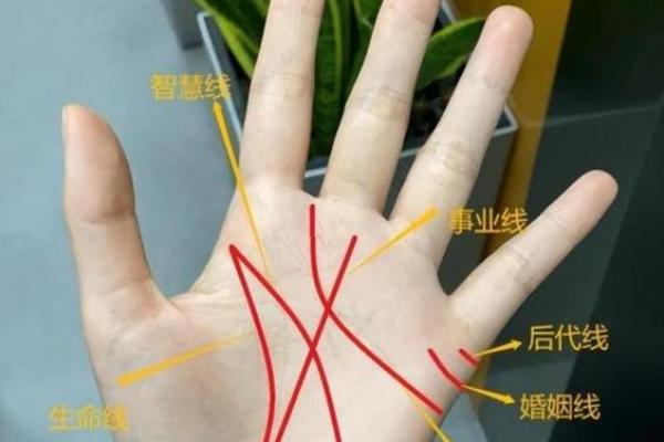 断掌命理解析：揭示你人生的潜在轨迹与机会
