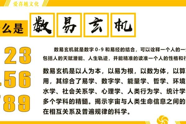 2004年出生的命运与数字的秘密：探索人生中的幸运之道