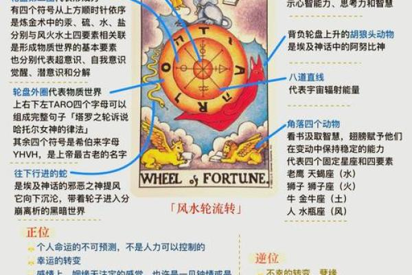 测测自己属于什么命，探索命运背后的秘密
