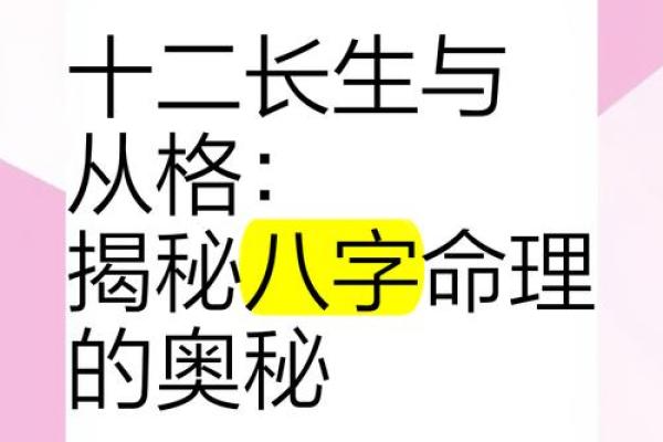 探秘“命”字的奥秘：2001年出生人的命理解析与人生启示