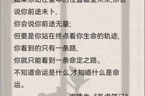 根据名字解析命运，揭示你隐藏的潜力与道路