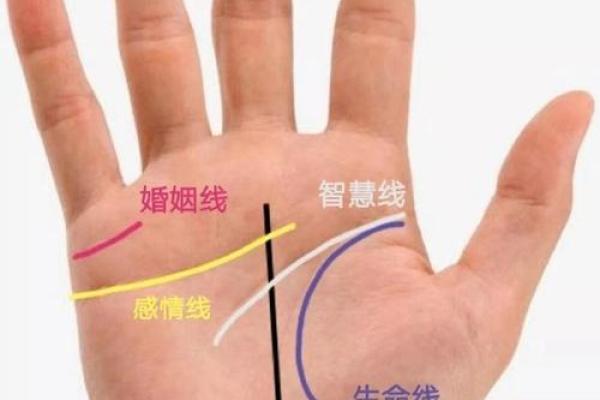 揭秘：什么手掌特征预示着旺夫命，助你幸福人生！