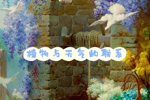 探寻4.3两的命名之谜：从古老传统到现代解读