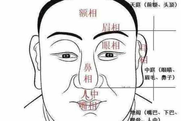 额头太高的人命运解析：你不知道的秘密与智慧