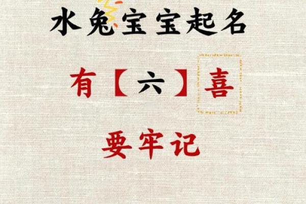 2024年的水兔命：运势解析及生活指南