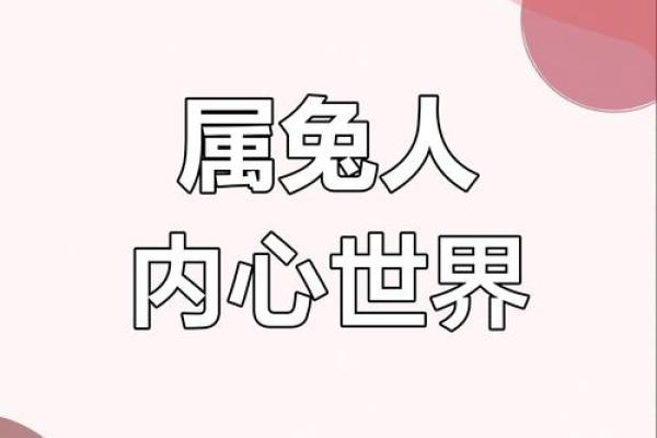 1987年属兔人的命理分析与生活指南