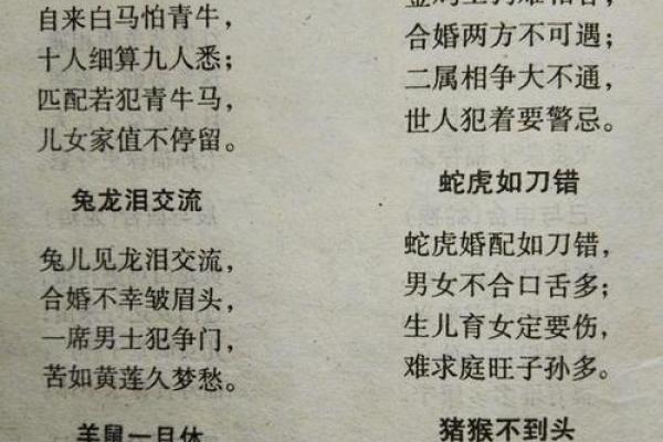 命理中属相女人的忌讳与适合搭配的深度解析