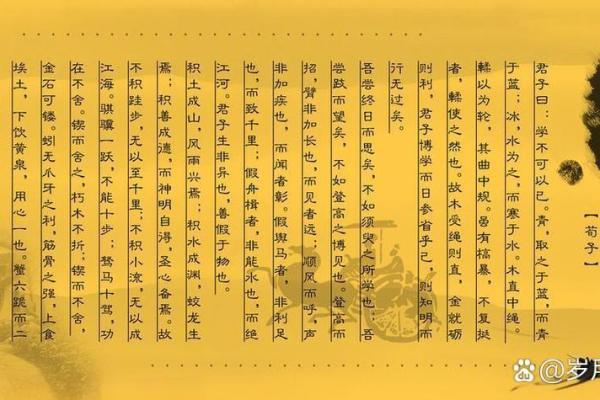 1898年的历史回望：寻找失落的岁月与记忆中的人间奇观