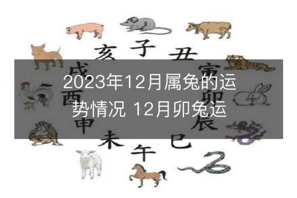 1999年兔年命理解析：兔年的性格与命运特征