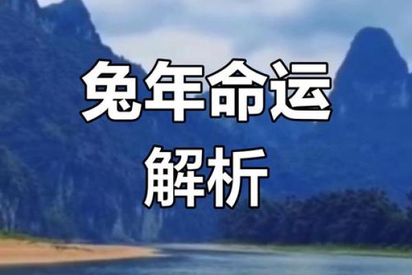 1999年兔年命理解析：兔年的性格与命运特征