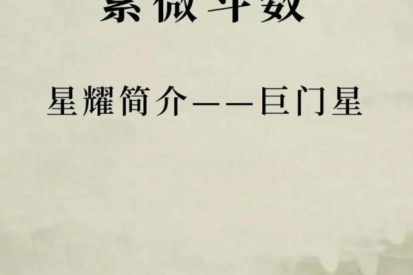 紫薇命的职业选择：找到最适合你的理想工作！